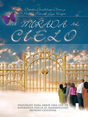 cover image of UNA MIRADA AL CIELO